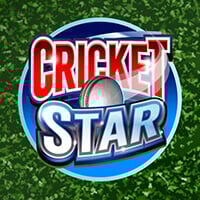 Microgaming slot